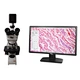 4K HDMI NETWORK USB Multi-Outputs Microscope Camera