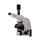 4K HDMI NETWORK USB Multi-Outputs Microscope Camera
